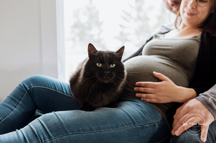 Living room maternity photos with cats. Lifestyle maternity session. Séance maternité à La Baie au Saguenay. Maternity session in La Baie Bagotville.