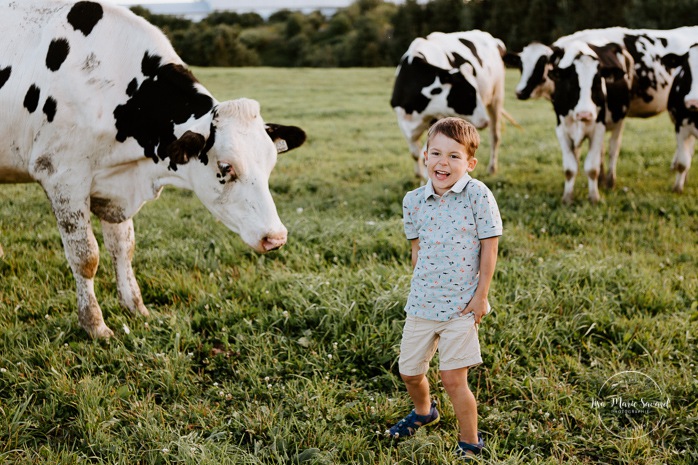 Little boy petting cow. Dairy farm photos with cows. Farm photo session. Family photos with cows. Countryside family photos. Photos de famille à la campagne. Photos de famille dans un champ. Photographe de famille à Montréal. Montreal family photographer.