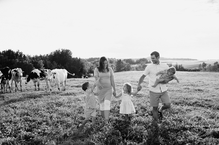 Dairy farm photos with cows. Farm photo session. Family photos with cows. Countryside family photos. Séance photo à la ferme avec des vaches. Séance photo ferme laitière. Photographe de famille à Montréal. Montreal family photographer.