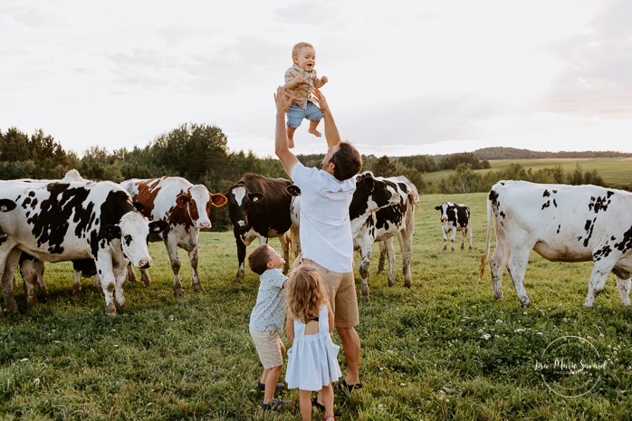 Dad throwing baby in air. Dairy farm photos with cows. Farm photo session. Family photos with cows. Countryside family photos. Photos de famille à la campagne. Photos de famille dans un champ. Photographe de famille à Montréal. Montreal family photographer.