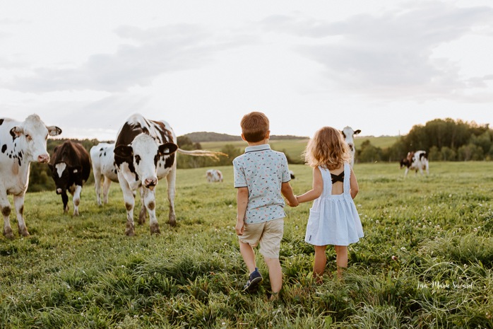 Children walking next to cows. Siblings holding hands. Dairy farm photos with cows. Farm photo session. Family photos with cows. Countryside family photos. Photos de famille à la campagne. Photos de famille dans un champ. Photographe de famille à Montréal. Montreal family photographer.