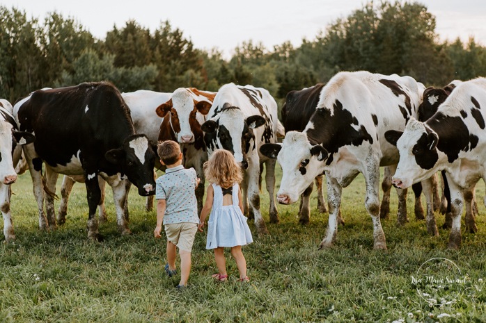 Boy and girl petting cows. Siblings petting cows. Dairy farm photos with cows. Farm photo session. Family photos with cows. Countryside family photos. Photos de famille à la campagne. Photos de famille dans un champ. Photographe de famille à Montréal. Montreal family photographer.