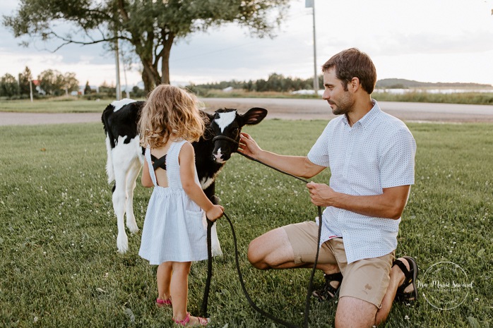 Little girl petting cow calf with dad. Dairy farm photos with cows. Farm photo session. Family photos with cows. Countryside family photos. Photos de famille à la campagne. Photos de famille dans un champ. Photographe de famille à Montréal. Montreal family photographer.