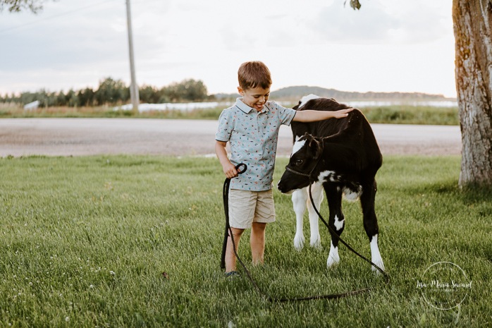 Little boy petting cow calf. Dairy farm photos with cows. Farm photo session. Family photos with cows. Countryside family photos. Photos de famille à la campagne. Photos de famille dans un champ. Photographe de famille à Montréal. Montreal family photographer.