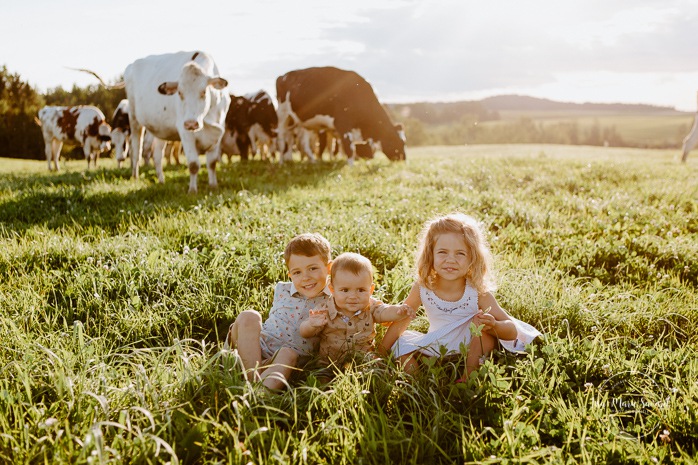 Children sitting on grass with cows. Dairy farm photos with cows. Farm photo session. Family photos with cows. Countryside family photos. Photos de famille à la campagne. Photos de famille dans un champ. Photographe de famille à Montréal. Montreal family photographer.