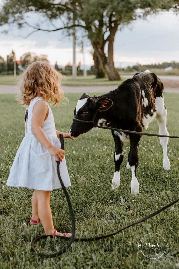 Little girl petting cow calf with dad. Dairy farm photos with cows. Farm photo session. Family photos with cows. Countryside family photos. Photos de famille à la campagne. Photos de famille dans un champ. Photographe de famille à Montréal. Montreal family photographer.