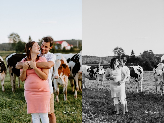 Maternity photos with cows. Maternity photos in a field. Dairy farm photos with cows. Farm photo session. Family photos with cows. Countryside family photos. Photos de famille à la campagne. Photos de famille dans un champ. Photographe de famille à Montréal. Montreal family photographer.