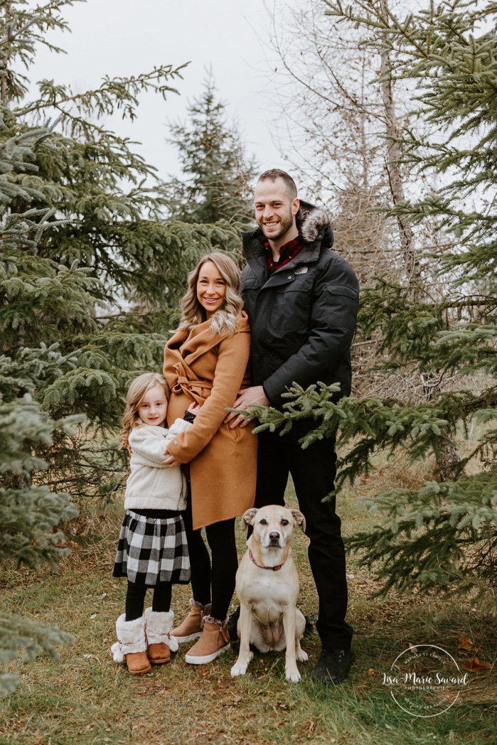 Family photos with dog. Family session with dog. Maternity photos with child. Maternity photos with sibling. Photos de maternité dans le Sud-Ouest. Photographe de maternité à Ville-Émard. Montreal Southwest maternity photos.