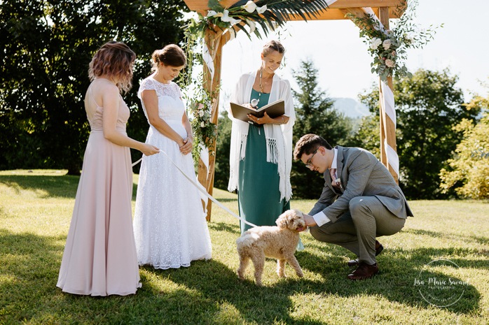 Dog ring bearer bringing rings to the couple. Photographe de mariage en Estrie. Photographe de mariage Cantons de l'Est. Mariage Estrimont Suites et Spa Orford.