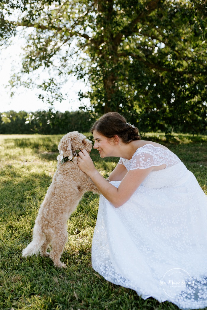 Wedding photos with small dog. Wedding photos dog. Photographe de mariage en Estrie. Photographe de mariage Cantons de l'Est. Mariage Estrimont Suites et Spa Orford.