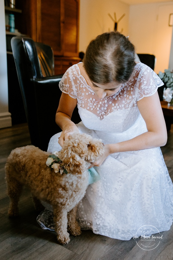 Wedding dog ring bearer. Photographe de mariage en Estrie. Photographe de mariage Cantons de l'Est. Mariage Estrimont Suites et Spa Orford.