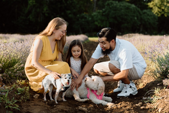 Lavender field family photos. Lavender field photo session. Family photos with dogs. Family photos with pets. Golden hour family photos. Séance photo à la Maison Lavande. Maison Lavande photoshoot. Photos de fiançailles à Montréal. Montreal engagement photos.