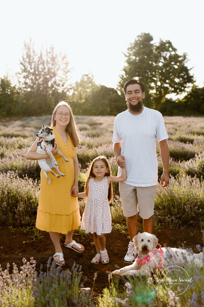 Lavender field family photos. Lavender field photo session. Family photos with dogs. Family photos with pets. Golden hour family photos. Séance photo à la Maison Lavande. Maison Lavande photoshoot. Photos de fiançailles à Montréal. Montreal engagement photos.