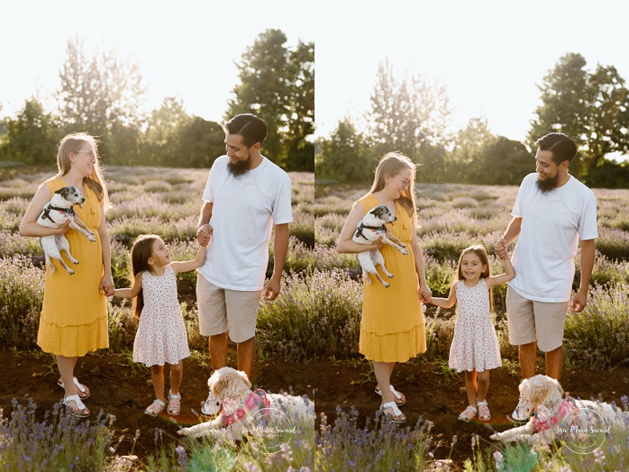 Lavender field family photos. Lavender field photo session. Family photos with dogs. Family photos with pets. Golden hour family photos. Séance photo à la Maison Lavande. Maison Lavande photoshoot. Photos de fiançailles à Montréal. Montreal engagement photos.