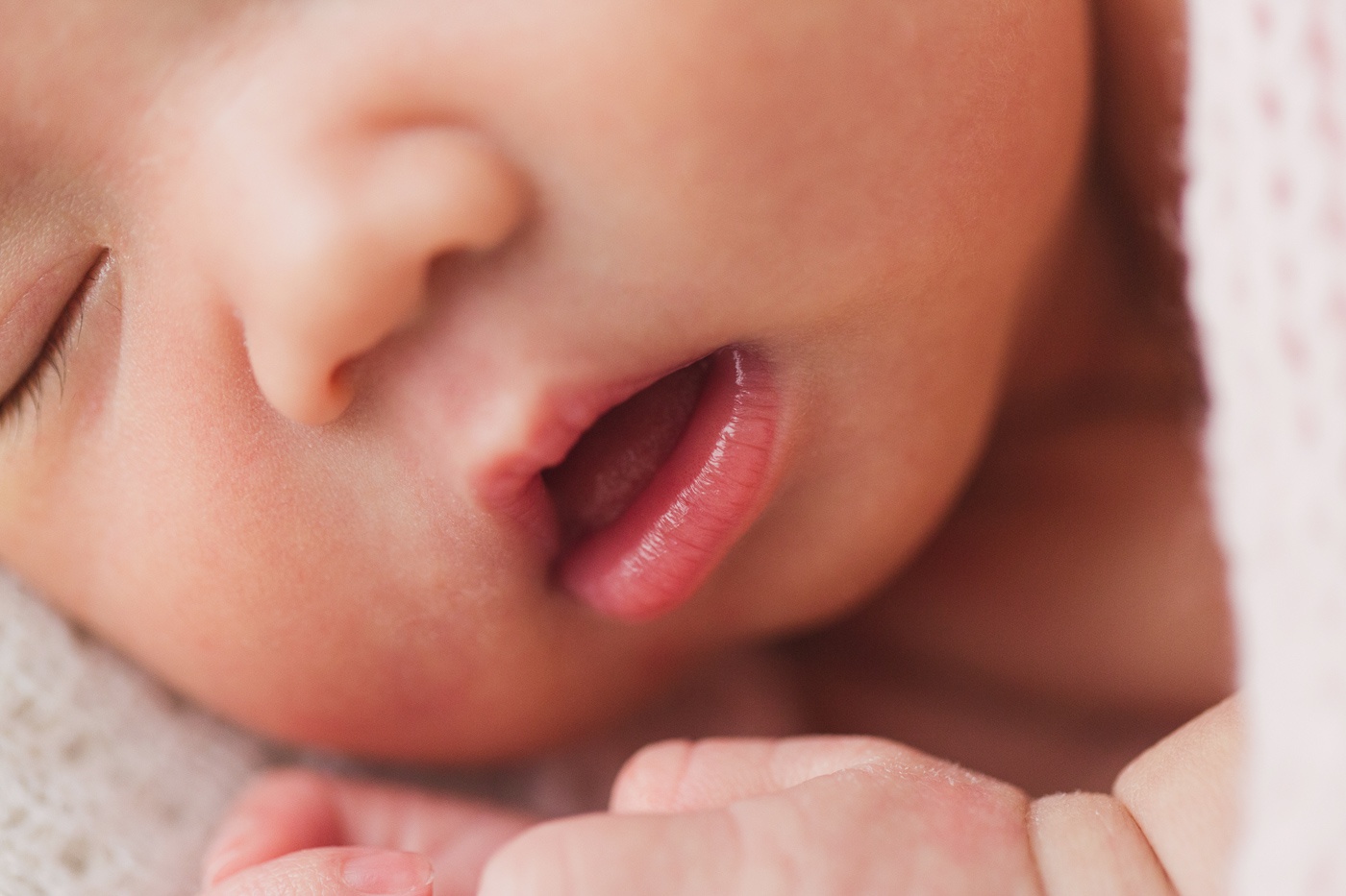 Photographe de nouveau-né à Montréal. Séance photo nouveau-né à Montréal. Photo nouveau-né en studio à Montréal. Montreal newborn photographer. Montreal newborn photoshoot.