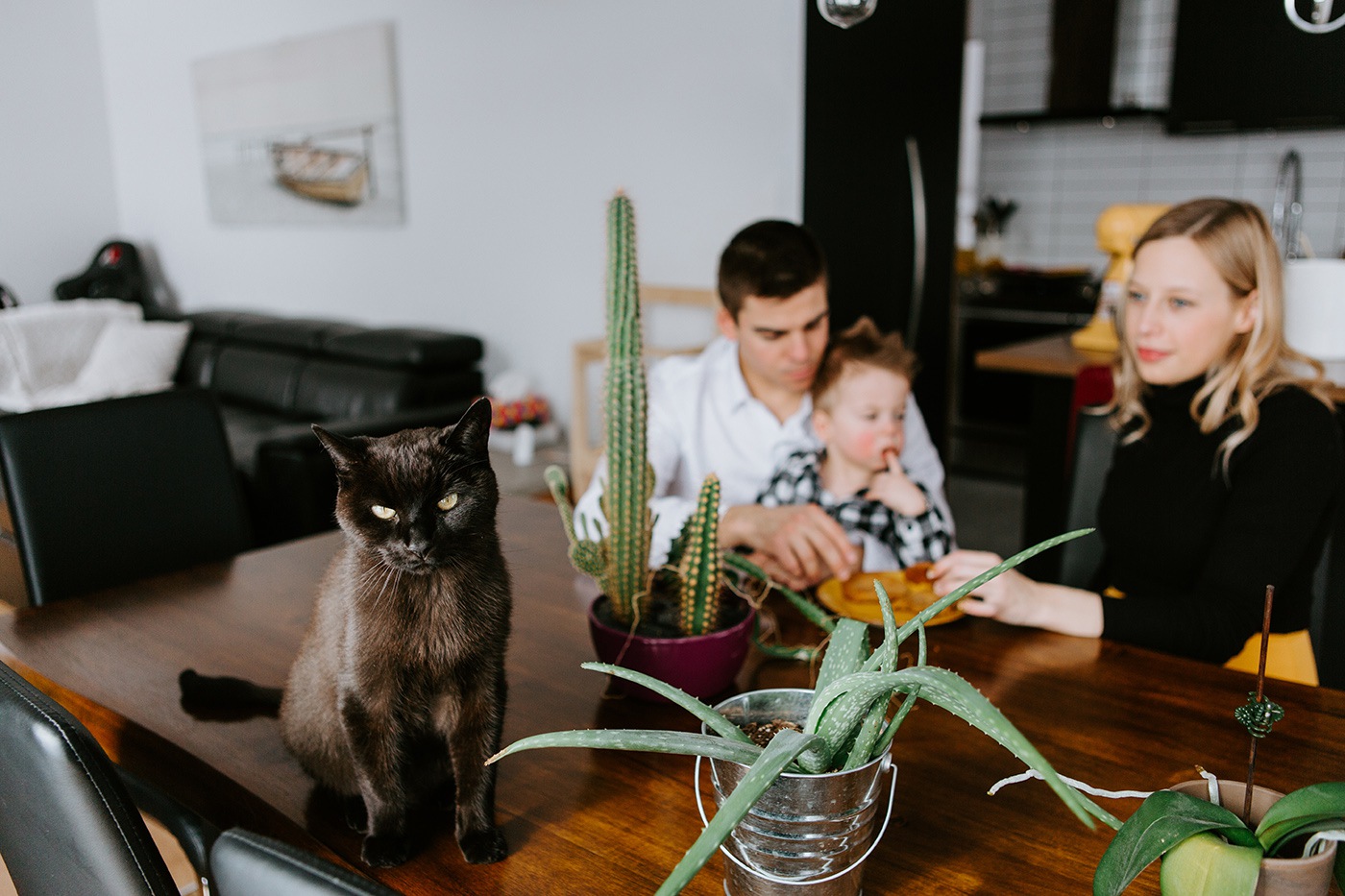 In-home baking session. Family baking photos. Pregnancy bun in the oven baking photos. Maternity photos with toddler. Séance maternité à domicile à Chicoutimi. In-home maternity session with toddler in Saguenay