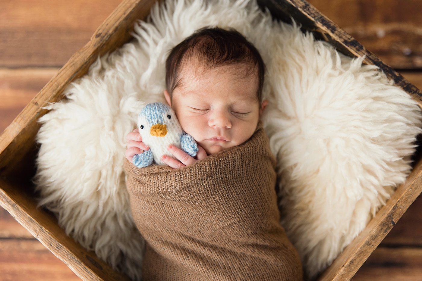 Photographe de nouveau-né en studio à Montréal. Séance nouveau-né à Montréal. Photographe bébé Montréal. Montreal in-studio newborn photographer. Montreal newborn session. Montreal baby photos.