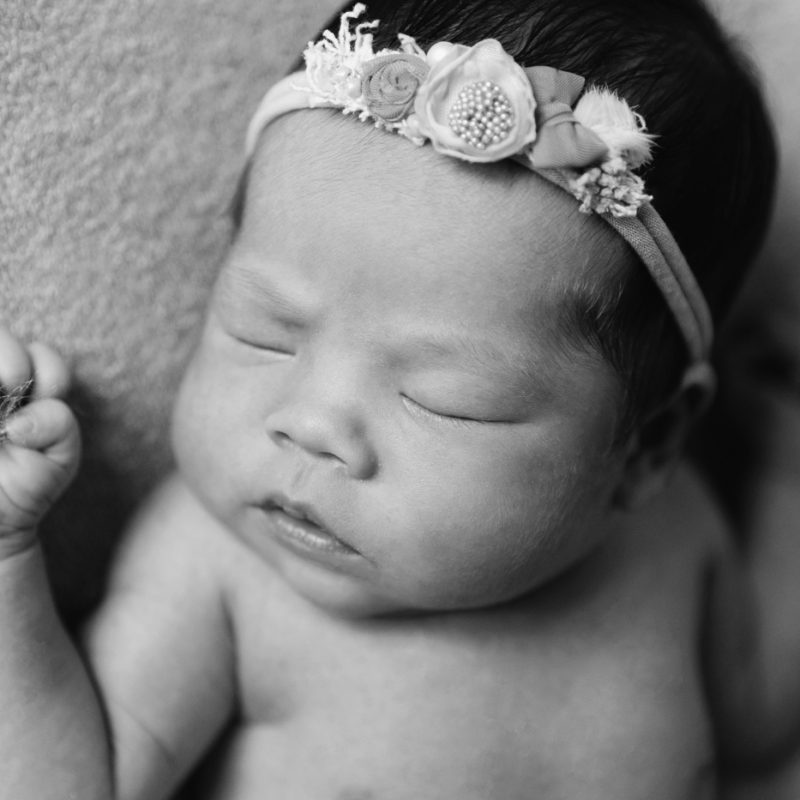 Minimalist newborn photos. In-studio newborn photos. Newborn photos girl pink. Séance nouveau-né en studio à Montréal. Photographe nouveau-né Montréal. Montreal in-studio newborn photos. Montreal newborn photographer.