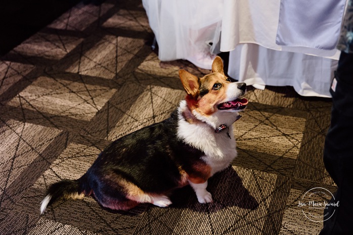 Wedding reception in dark venue. Two brides wedding photos. Same sex wedding photos. Plus size brides wedding photos. Mariage avec deux femmes. Mariage LGBTQ+ au Saguenay-Lac-Saint-Jean. Photographe de mariage au Saguenay.