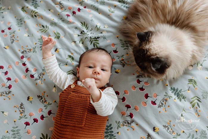 Newborn photos with cat. In-home newborn session. Lifestyle newborn photos. Photographe dans Rosemont-La-Petite-Patrie. Séance nouveau-né à domicile à Montréal. Montreal lifestyle newborn session.