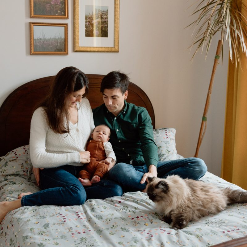 Newborn photos with cat. In-home newborn session. Lifestyle newborn photos. Photographe dans Rosemont-La-Petite-Patrie. Séance nouveau-né à domicile à Montréal. Montreal lifestyle newborn session.