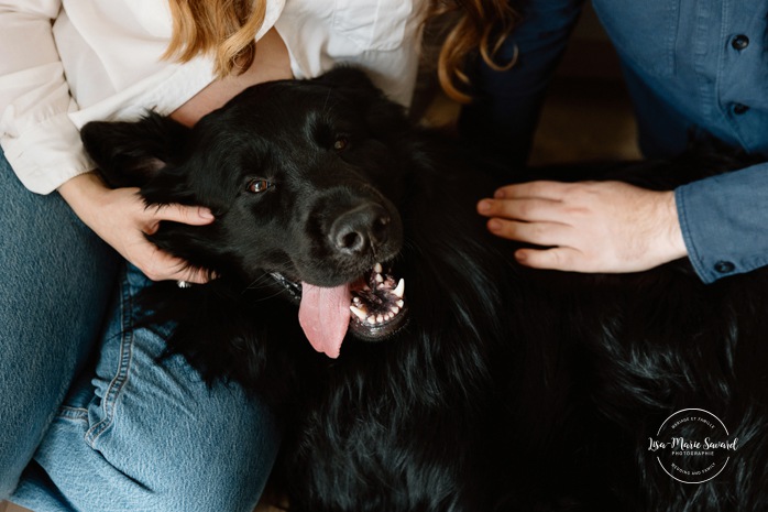 Maternity photos with dog. Cozy in-home maternity photos. Lifestyle maternity photos. Photographe à Beaconsfield. Beaconsfield photographer. Séance maternité à Montreal. Montreal maternity photographer.