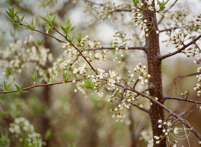 Mariage au Pavillon de la Jamaïque à Montréal. Photographe de mariage à Montréal. Jamaica Pavilion wedding. Montreal wedding photographer.
