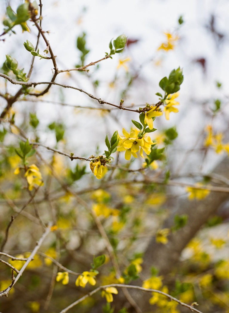 Mariage au Pavillon de la Jamaïque à Montréal. Photographe de mariage à Montréal. Jamaica Pavilion wedding. Montreal wedding photographer.