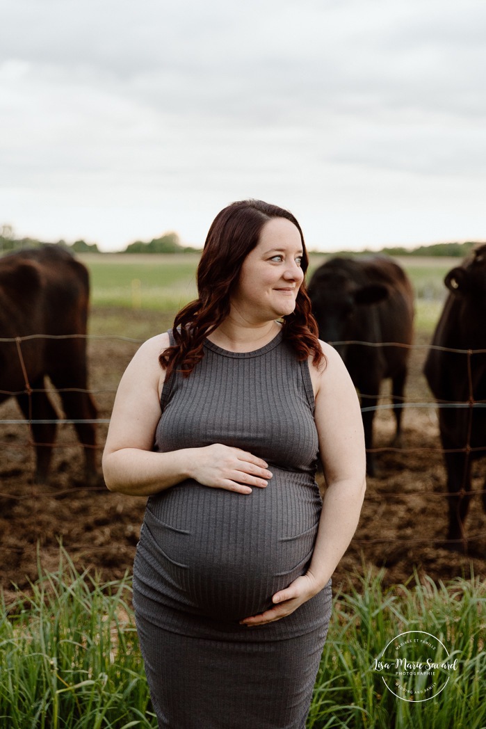 Maternity photos with cows. Countryside maternity photos. Séance maternité à la ferme avec des vaches. Dairy farm maternity photos. Photographe de maternité en Montérégie. Monteregie maternity photographer.