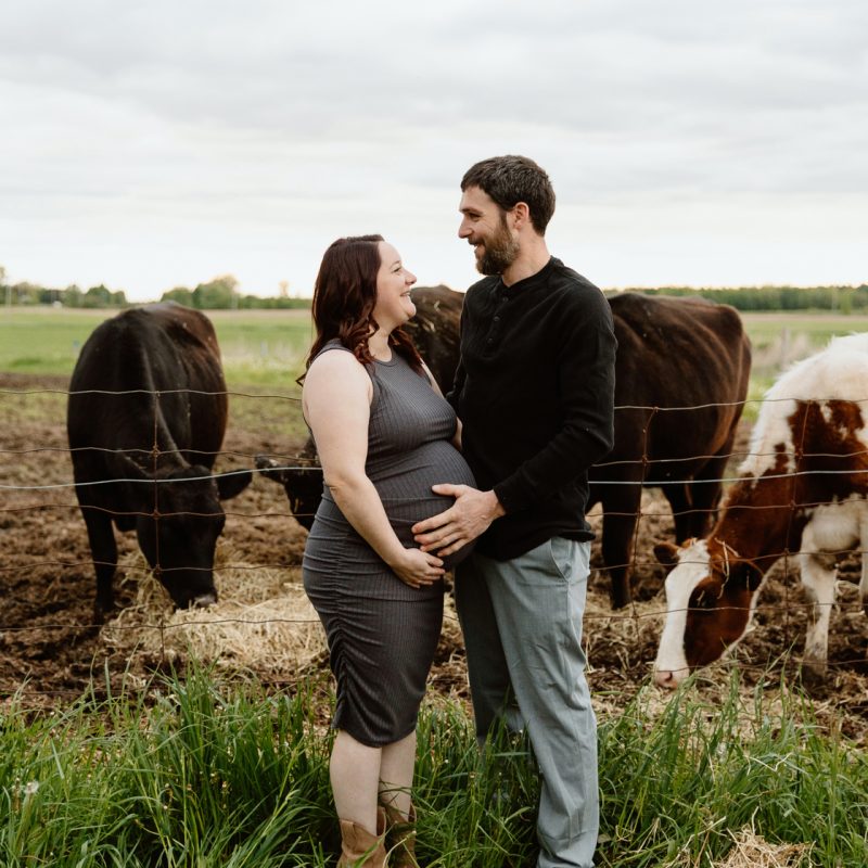 Maternity photos with cows. Countryside maternity photos. Séance maternité à la ferme avec des vaches. Dairy farm maternity photos. Photographe de maternité en Montérégie. Monteregie maternity photographer.