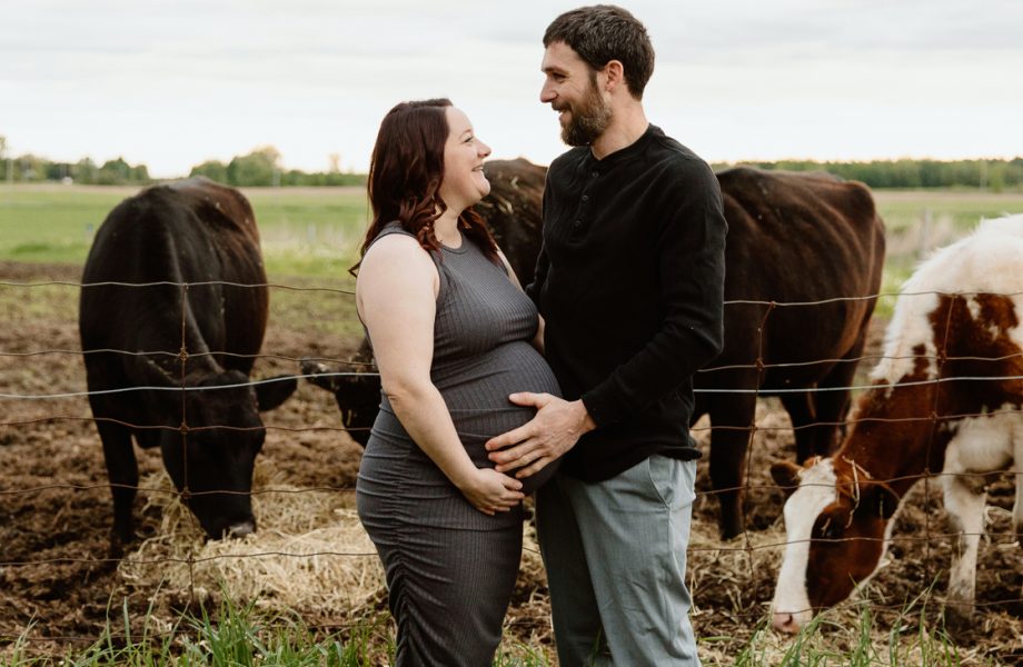 Maternity photos with cows. Countryside maternity photos. Séance maternité à la ferme avec des vaches. Dairy farm maternity photos. Photographe de maternité en Montérégie. Monteregie maternity photographer.