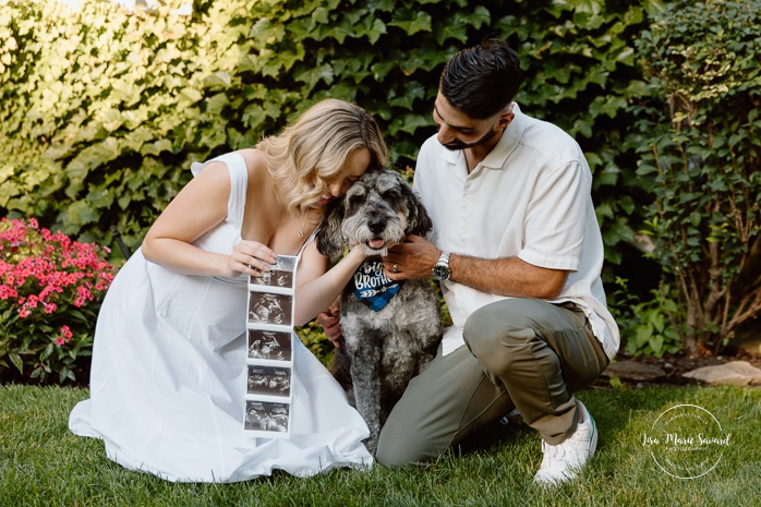 Maternity photos with dog. Maternity photos with pets. Photographe à Pointe-Claire. Photos de maternité dans le West Island. Pointe-Claire photographer. West Island maternity photographer.