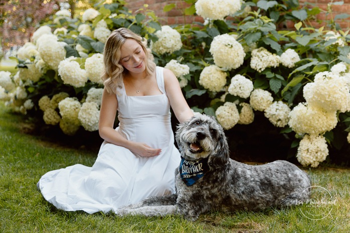 Maternity photos with dog. Maternity photos with pets. Photographe à Pointe-Claire. Photos de maternité dans le West Island. Pointe-Claire photographer. West Island maternity photographer.