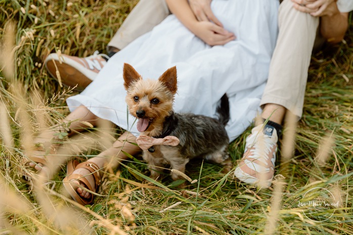 Maternity photos with dog. Maternity photos with pet. Countryside maternity photos. Wild field maternity photos. Séance photo au parc Maisonneuve. Maisonneuve Park photoshoot. Photographe maternité à Montréal. Montreal maternity photographer.