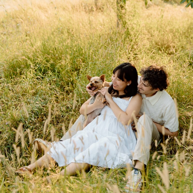 Maternity photos with dog. Maternity photos with pet. Countryside maternity photos. Wild field maternity photos. Séance photo au parc Maisonneuve. Maisonneuve Park photoshoot. Photographe maternité à Montréal. Montreal maternity photographer.