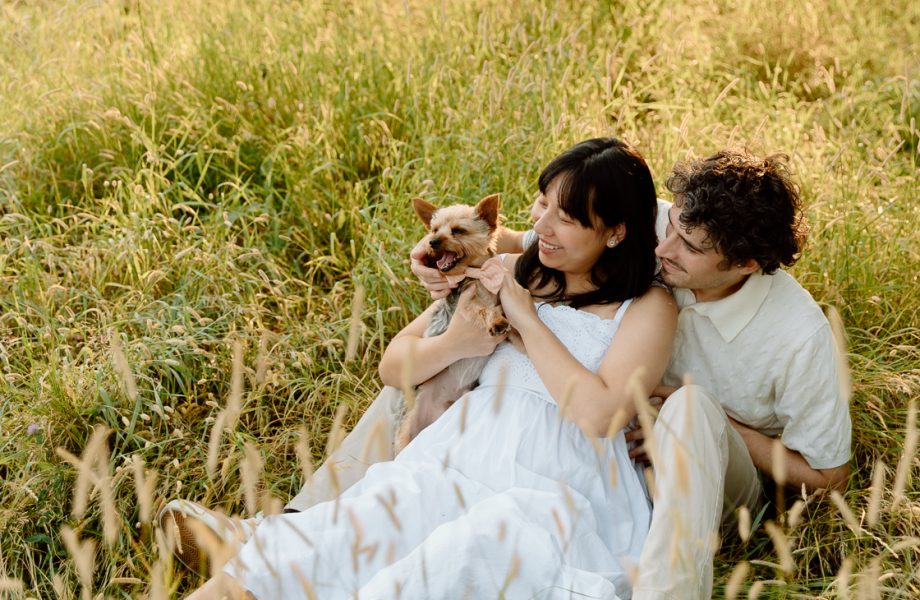 Maternity photos with dog. Maternity photos with pet. Countryside maternity photos. Wild field maternity photos. Séance photo au parc Maisonneuve. Maisonneuve Park photoshoot. Photographe maternité à Montréal. Montreal maternity photographer.