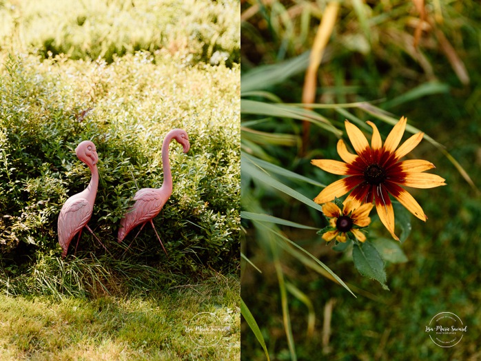 Cottagecore wedding photos. Garden party wedding ideas. Mariage en Estrie dans un chalet. Photographe de mariage dans les Cantons-de-l'Est. Eastern Township wedding photographer.