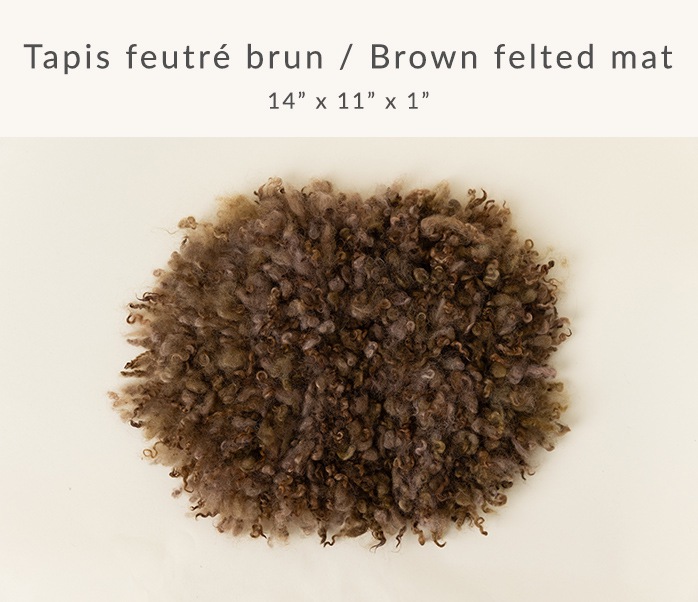 Photographe de Cake Smash à Montréal. Photographe de Smash the Cake à Montréal. Montreal Cake Smash photographer. Montreal Smash the Cake photographer