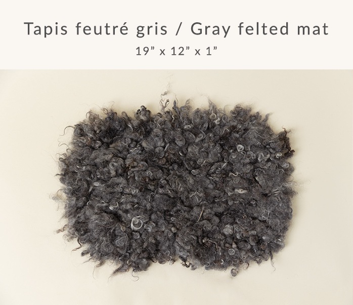 Photographe de Cake Smash à Montréal. Photographe de Smash the Cake à Montréal. Montreal Cake Smash photographer. Montreal Smash the Cake photographer