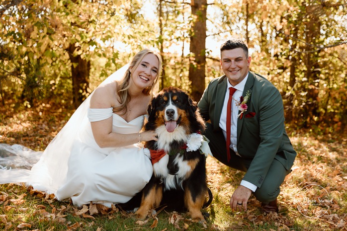 Fall wedding photos. Wedding photos with dog. Large dog wedding photos. Mariage au Domaine St-Simon en automne. Photographe de mariage en Montérégie. Domaine St-Simon wedding.