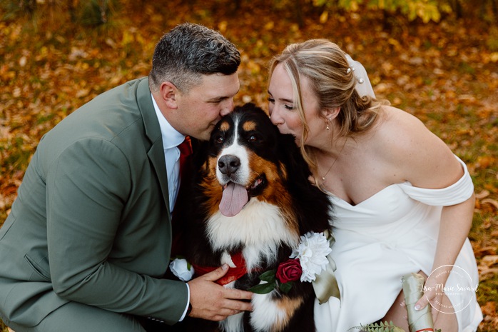 Fall wedding photos. Wedding photos with dog. Large dog wedding photos. Mariage au Domaine St-Simon en automne. Photographe de mariage en Montérégie. Domaine St-Simon wedding.