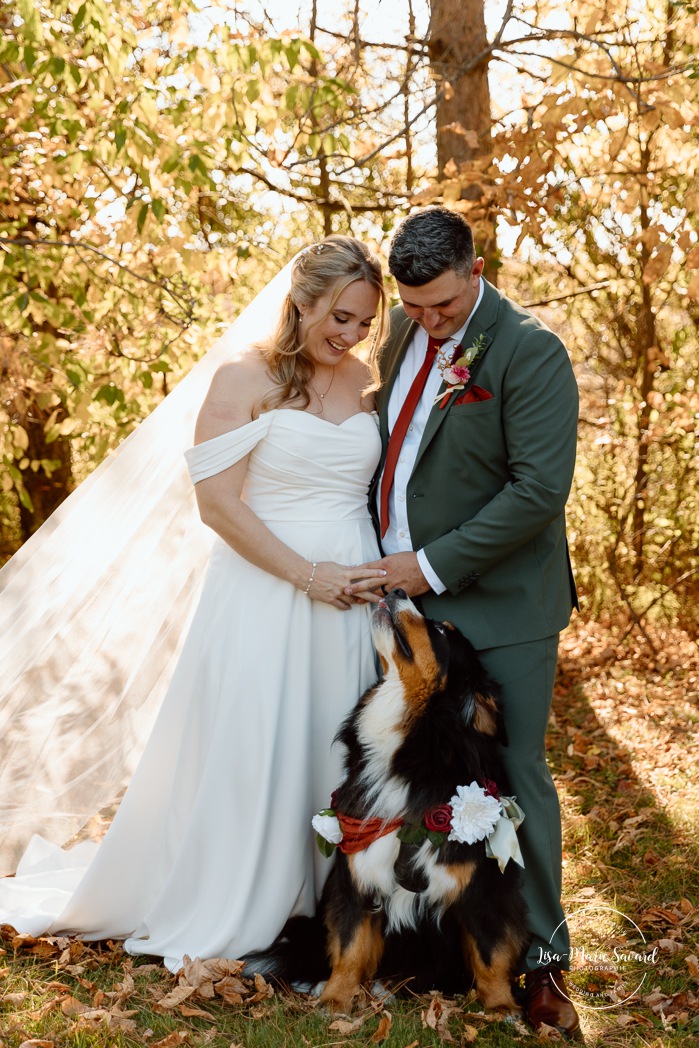Fall wedding photos. Wedding photos with dog. Large dog wedding photos. Mariage au Domaine St-Simon en automne. Photographe de mariage en Montérégie. Domaine St-Simon wedding.