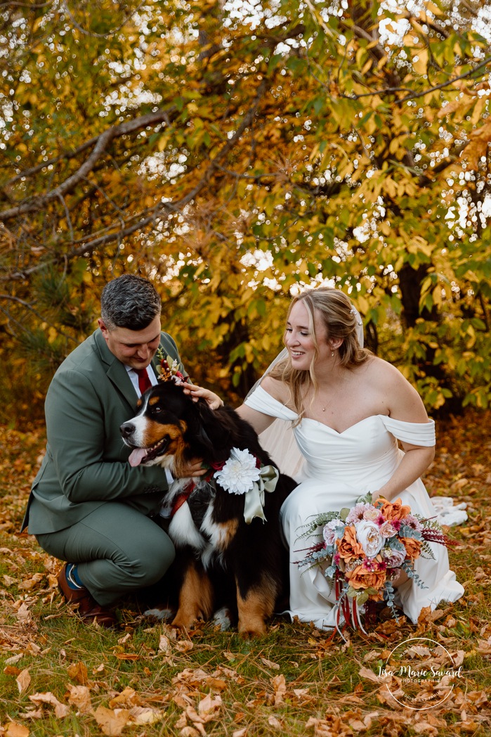 Fall wedding photos. Wedding photos with dog. Large dog wedding photos. Mariage au Domaine St-Simon en automne. Photographe de mariage en Montérégie. Domaine St-Simon wedding.