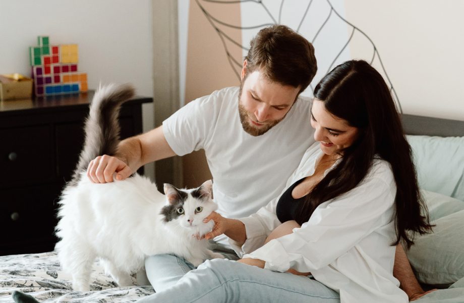 Maternity photos with cat. Cat maternity photos. In-home maternity photos. Bedroom maternity photos. Photos de maternité à la maison à Montréal. Photographe maternité Montréal. Montreal in-home maternity photos. Montreal maternity photographer.