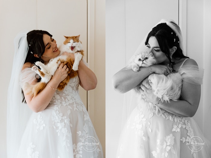 Bridal portrait with cat. Photographe de mariage au Saguenay. Photographe Saguenay-Lac-Saint-Jean. Saguenay wedding photographer.
