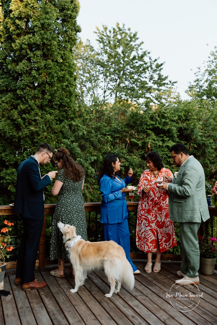 Intimate backyard wedding photos. Micro wedding photos. Mariage à Notre-Dame-de-Grâce. Mariage intime à Montréal. Photographe mariage Montréal. NDG backyard wedding. Montreal intime wedding. Montreal wedding photographer.