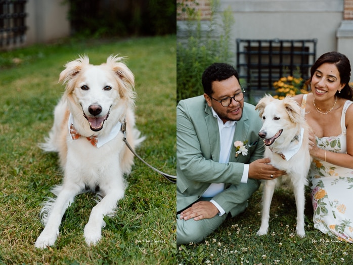 Dog wedding photos. Intimate wedding with dog. Campus Loyola Concordia. Mariage à Notre-Dame-de-Grâce. Mariage intime à Montréal. Photographe mariage Montréal. NDG backyard wedding. Montreal intime wedding. Montreal wedding photographer.